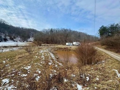 267 Brooks Rd., Reedy, WV------------PERFECT GETAWAY! This on Roane County Country Club in West Virginia - for sale on GolfHomes.com, golf home, golf lot