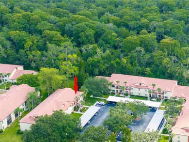 Located in the desirable East Lake area, this updated 2-bedroom on Tarpon Woods Golf Club in Florida - for sale on GolfHomes.com, golf home, golf lot