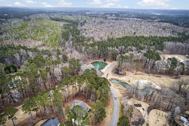 This lot has two amazing views. Gorgeous corner lot with amazing on Harbor Club Golf and Country Club in Georgia - for sale on GolfHomes.com, golf home, golf lot