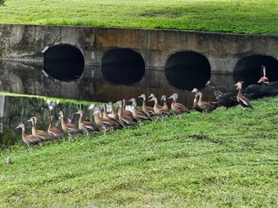 This 2 bedroom, 2 bath has approximately 1000 feet of living on Southport Springs Golf Club in Florida - for sale on GolfHomes.com, golf home, golf lot