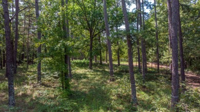 Beautiful home site on a quiet street in Reynolds Lake Oconee on Reynolds Lake Oconee - The Oconee in Georgia - for sale on GolfHomes.com, golf home, golf lot