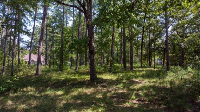 Beautiful home site on a quiet street in Reynolds Lake Oconee on Reynolds Lake Oconee - The Oconee in Georgia - for sale on GolfHomes.com, golf home, golf lot