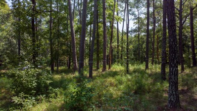Beautiful home site on a quiet street in Reynolds Lake Oconee on Reynolds Lake Oconee - The Oconee in Georgia - for sale on GolfHomes.com, golf home, golf lot