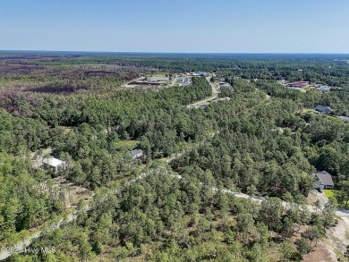 Oversized lot. Prime location. Unlimited potential. These two on The Lakes Country Club in North Carolina - for sale on GolfHomes.com, golf home, golf lot