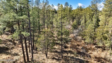 Beautiful secluded lot right off the golf course, This over an on Capital Canyon Club in Arizona - for sale on GolfHomes.com, golf home, golf lot