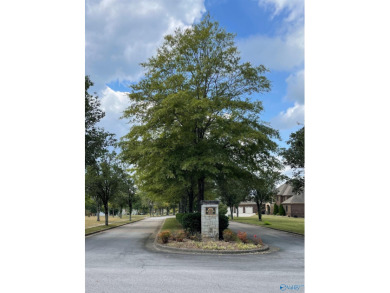 1.4 acre cleared lot on #8 Fairway of the MindBreaker course at on The Robert Trent Jones Golf Trail At Silver Lake in Alabama - for sale on GolfHomes.com, golf home, golf lot