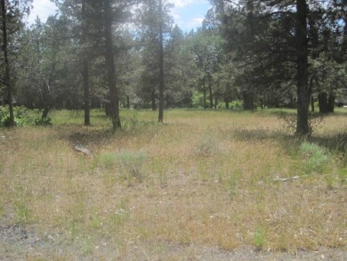 Affordable .52 Acre Lot in the Beautiful Running Y. Easy Build on Running Y Ranch Resort in Oregon - for sale on GolfHomes.com, golf home, golf lot