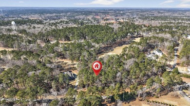 This homesite on the Harbor Club golf course presents a unique on Harbor Club Golf and Country Club in Georgia - for sale on GolfHomes.com, golf home, golf lot
