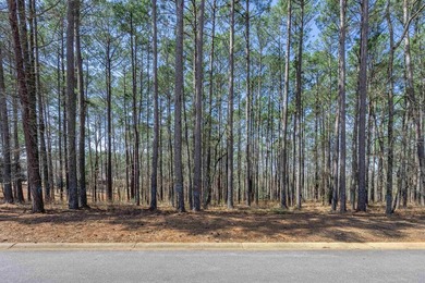 RARE 4-ACRE HOMESITE in Reynolds Lake Oconee - Prime Location on Reynolds Lake Oconee - The Oconee in Georgia - for sale on GolfHomes.com, golf home, golf lot