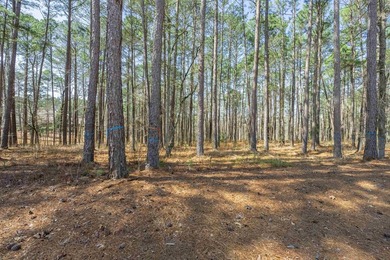 RARE 4-ACRE HOMESITE in Reynolds Lake Oconee - Prime Location on Reynolds Lake Oconee - The Oconee in Georgia - for sale on GolfHomes.com, golf home, golf lot