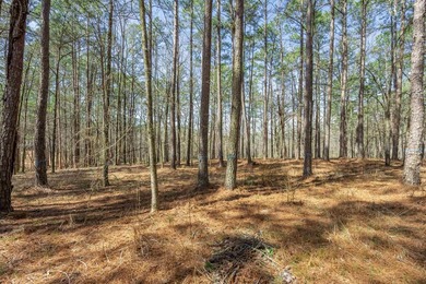 RARE 4-ACRE HOMESITE in Reynolds Lake Oconee - Prime Location on Reynolds Lake Oconee - The Oconee in Georgia - for sale on GolfHomes.com, golf home, golf lot