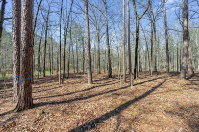 RARE 4-ACRE HOMESITE in Reynolds Lake Oconee - Prime Location on Reynolds Lake Oconee - The Oconee in Georgia - for sale on GolfHomes.com, golf home, golf lot