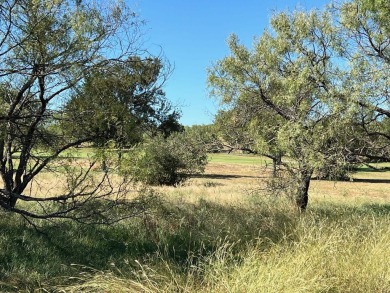Looking for an affordable lot in a wonderful neighborhood to on Ram Rock Golf Course in Texas - for sale on GolfHomes.com, golf home, golf lot