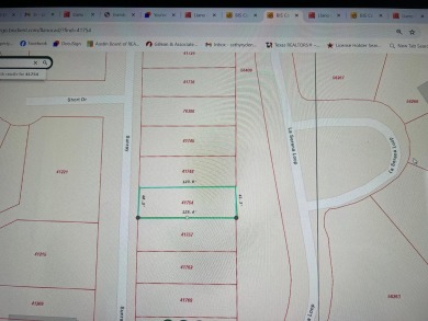 Looking for an affordable lot in a wonderful neighborhood to on Ram Rock Golf Course in Texas - for sale on GolfHomes.com, golf home, golf lot