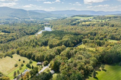 Contemporary Catskill Mountain treasure: Your home, or home away on Stamford Golf Club in New York - for sale on GolfHomes.com, golf home, golf lot