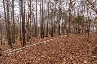 Located in the heart of The Cliffs at Keowee Springs, this 1 on The Cliffs At Keowee Springs in South Carolina - for sale on GolfHomes.com, golf home, golf lot