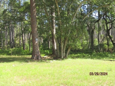 Beautiful Bayview lots to build your home. Make every day a on St. James Bay in Florida - for sale on GolfHomes.com, golf home, golf lot