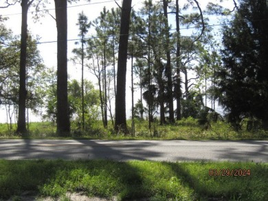 Beautiful Bayview lots to build your home. Make every day a on St. James Bay in Florida - for sale on GolfHomes.com, golf home, golf lot