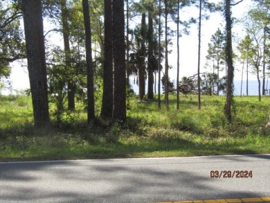 Beautiful Bayview lots to build your home. Make every day a on St. James Bay in Florida - for sale on GolfHomes.com, golf home, golf lot