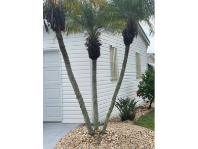 Beautiful 2-Bed, 2-Bath Home in 55+ Golf Community with Modern on Blue Heron Pines Golf Course in Florida - for sale on GolfHomes.com, golf home, golf lot