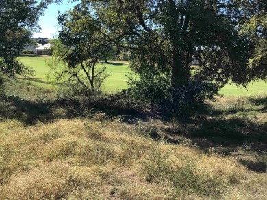 Embrace the Hill Country Lifestyle with this golf-course lot in on Ram Rock Golf Course in Texas - for sale on GolfHomes.com, golf home, golf lot