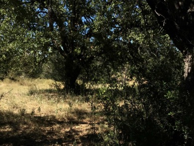 Embrace the Hill Country Lifestyle with this golf-course lot in on Ram Rock Golf Course in Texas - for sale on GolfHomes.com, golf home, golf lot