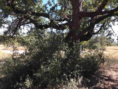 Embrace the Hill Country Lifestyle with this golf-course lot in on Ram Rock Golf Course in Texas - for sale on GolfHomes.com, golf home, golf lot