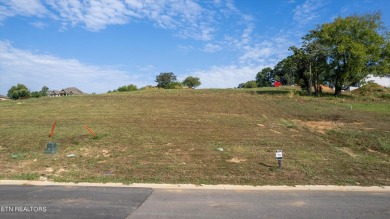 Discover the perfect setting for your dream home in the coveted on Tennessee National Golf Club in Tennessee - for sale on GolfHomes.com, golf home, golf lot