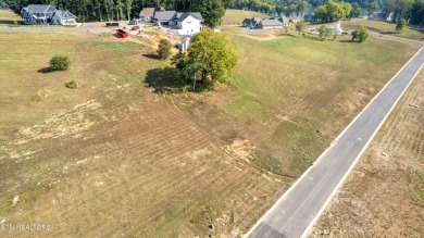 Discover the perfect setting for your dream home in the coveted on Tennessee National Golf Club in Tennessee - for sale on GolfHomes.com, golf home, golf lot