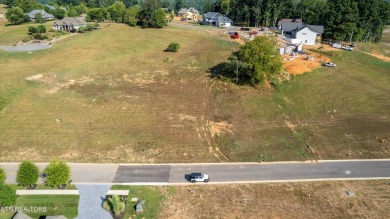 Discover the perfect setting for your dream home in the coveted on Tennessee National Golf Club in Tennessee - for sale on GolfHomes.com, golf home, golf lot
