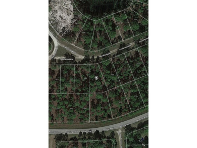 Easy access to US 41 and I-75. Quiet country-like setting but on Seminole Lakes Country Club in Florida - for sale on GolfHomes.com, golf home, golf lot