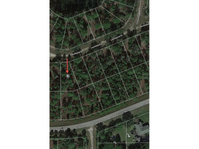 Easy access to US 41 and I-75. Quiet country-like setting but on Seminole Lakes Country Club in Florida - for sale on GolfHomes.com, golf home, golf lot
