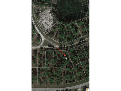 Easy access to US 41 and I-75. Quiet country-like setting but on Seminole Lakes Country Club in Florida - for sale on GolfHomes.com, golf home, golf lot