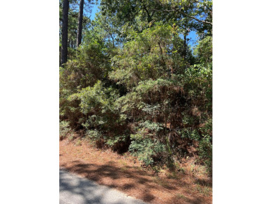 Endless possibilities await! Don't miss out on this opportunity on Rayburn Country Club in Texas - for sale on GolfHomes.com, golf home, golf lot