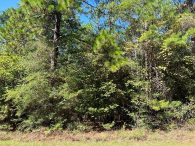 Exciting Opportunity Alert! Picture this: Over half an acre of on Rayburn Country Club in Texas - for sale on GolfHomes.com, golf home, golf lot