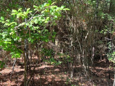 Exciting Opportunity Alert! Picture this: Over half an acre of on Rayburn Country Club in Texas - for sale on GolfHomes.com, golf home, golf lot