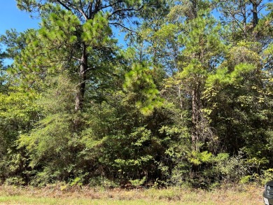Exciting Opportunity Alert! Picture this: Over half an acre of on Rayburn Country Club in Texas - for sale on GolfHomes.com, golf home, golf lot