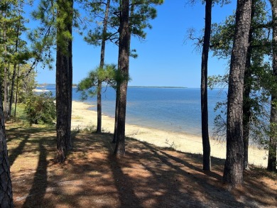 Exciting Opportunity Alert! Picture this: Over half an acre of on Rayburn Country Club in Texas - for sale on GolfHomes.com, golf home, golf lot