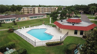 Beautifully updated 2-bedroom, 2-bath condo located in the on Largo Golf Course in Florida - for sale on GolfHomes.com, golf home, golf lot