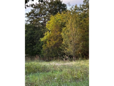 Low-maintenance, one level townhome with only one shared wall on Holiday Island Executive Golf Course in Arkansas - for sale on GolfHomes.com, golf home, golf lot