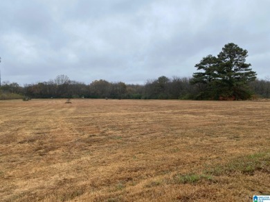 Approximately 19.3 acres , formally the Westside driving range on West Side Golf Center in Alabama - for sale on GolfHomes.com, golf home, golf lot