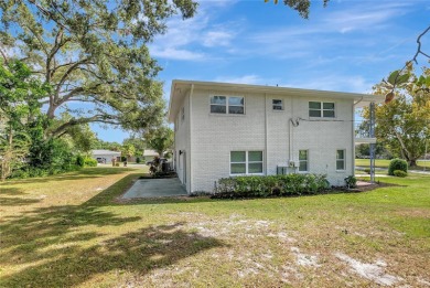 Discover this beautifully renovated 4-bedroom, 3-bath,  dream on Temple Terrace Golf and Country Club in Florida - for sale on GolfHomes.com, golf home, golf lot