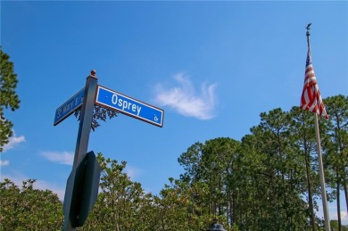 Inside the gates of Osprey Cove, a golf course community, this on The Club At Osprey Cove in Georgia - for sale on GolfHomes.com, golf home, golf lot