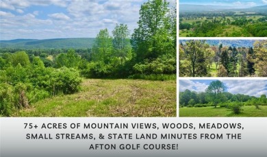 Welcome to 75+/- acres w/ breathtaking mountain views, just 5 on Afton Golf Club in New York - for sale on GolfHomes.com, golf home, golf lot