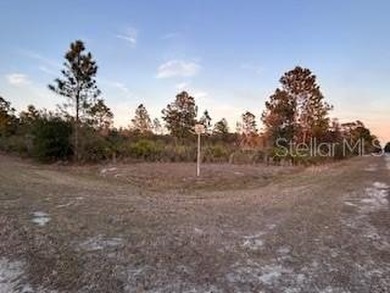 Each parcel in Indian Lake Estates has unique characteristics on Indian Lake Estates Golf and Country Club in Florida - for sale on GolfHomes.com, golf home, golf lot