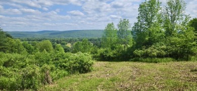 Welcome to 75+/- acres w/ breathtaking mountain views, just 5 on Afton Golf Club in New York - for sale on GolfHomes.com, golf home, golf lot