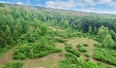 Welcome to 75+/- acres w/ breathtaking mountain views, just 5 on Afton Golf Club in New York - for sale on GolfHomes.com, golf home, golf lot