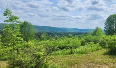 Welcome to 75+/- acres w/ breathtaking mountain views, just 5 on Afton Golf Club in New York - for sale on GolfHomes.com, golf home, golf lot