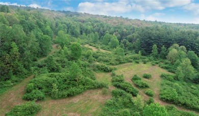 What would you do with this large land parcel with stunning on Afton Golf Club in New York - for sale on GolfHomes.com, golf home, golf lot