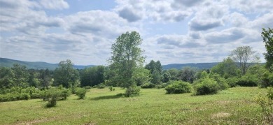 Welcome to 75+/- acres w/ breathtaking mountain views, just 5 on Afton Golf Club in New York - for sale on GolfHomes.com, golf home, golf lot